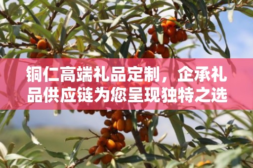铜仁高端礼品定制，企承礼品供应链为您呈现独特之选